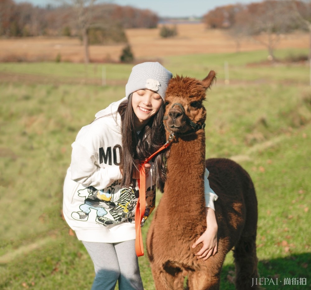 ŷ�����Ȱ�ɫ���´����˶�����Ƥ����Ů